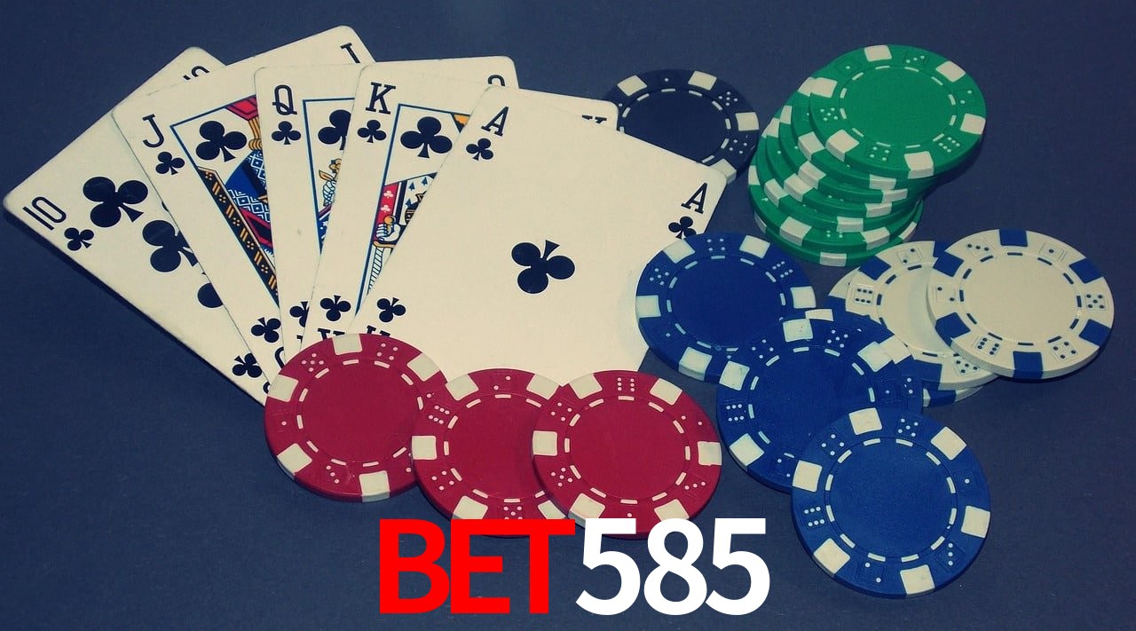 Sports Statistics bet585